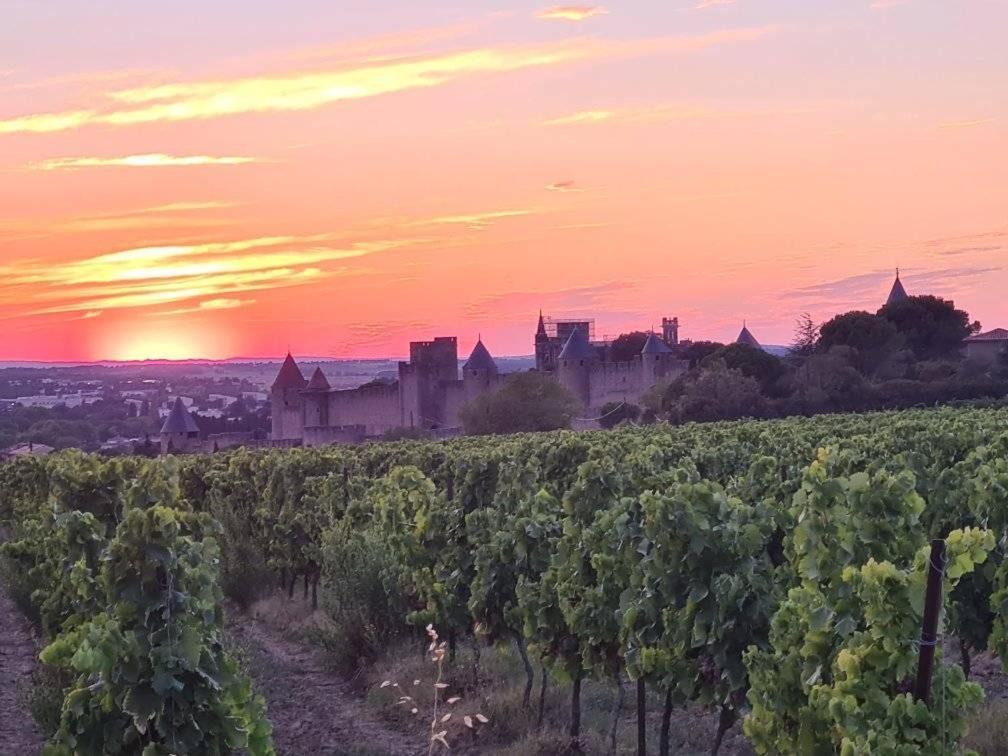 Meuble De Tourisme 4 Etoiles Logis Riquet Proche De Carcassonne Villa Caux-et-Sauzens Eksteriør bilde